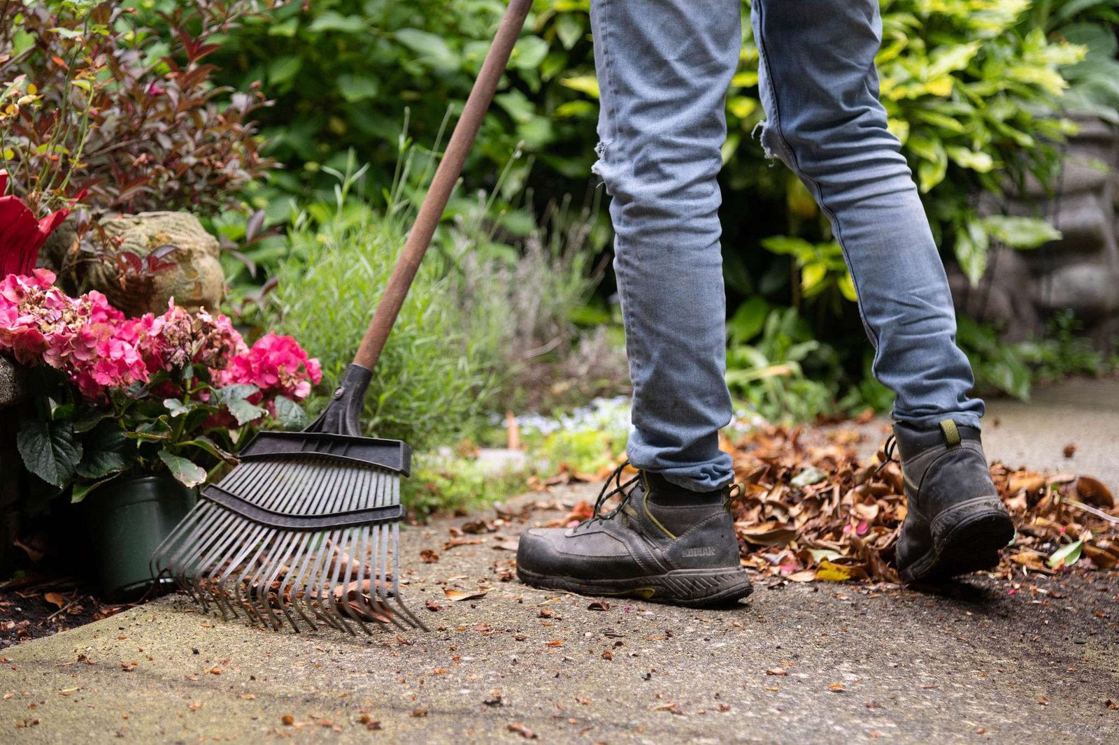 Garden maintenance by Craine Projects
