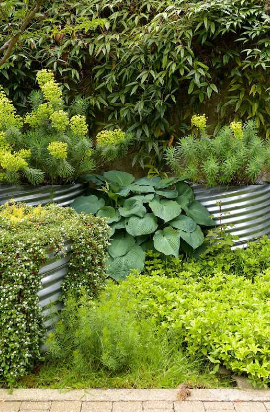 Craine Projects design phase