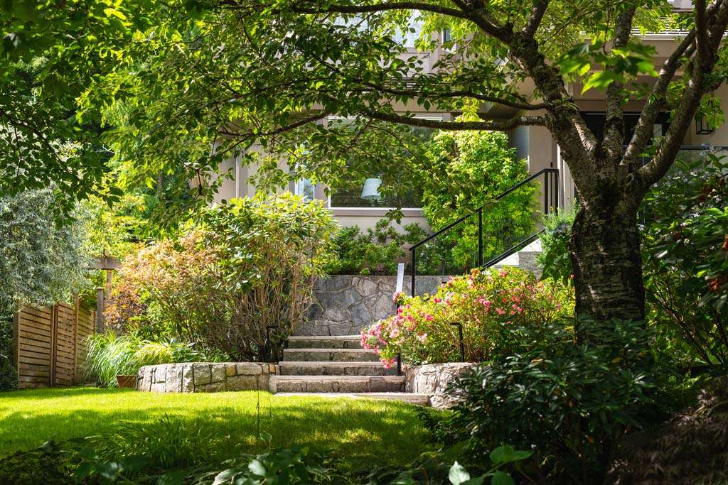 In the Glade project by Craine Projects